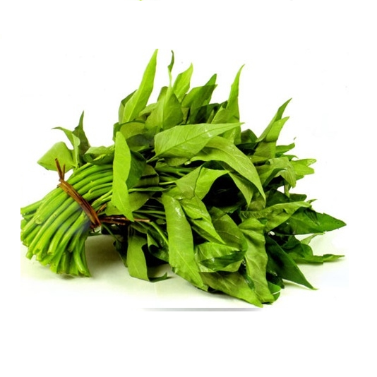 Hạt giống rau muống